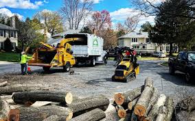 Best Emergency Tree Removal  in Cashmere, WA