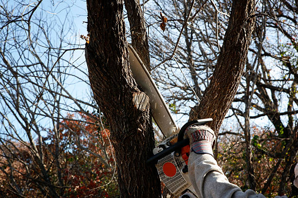 Best Seasonal Cleanup (Spring/Fall)  in Cashmere, WA